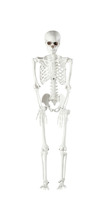 Skeletfigur 90 cm